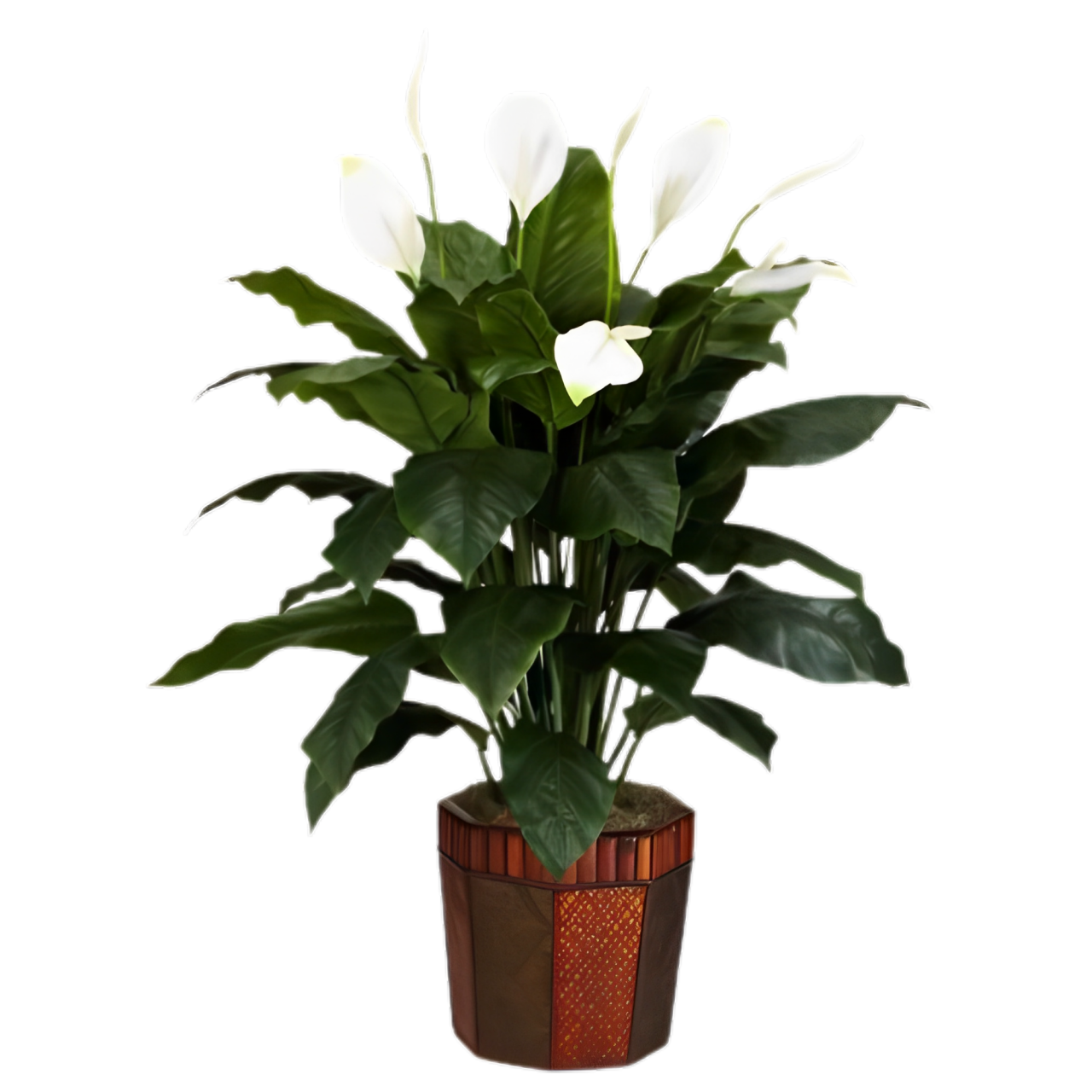 peace-lily-in-pot