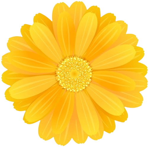 POTanyca Logo